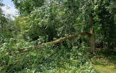 Erkenning als ramp van de hevige regenval, de storm- en rukwinden met een lokaal karakter en de hagelbuien op 9 juli 2024
